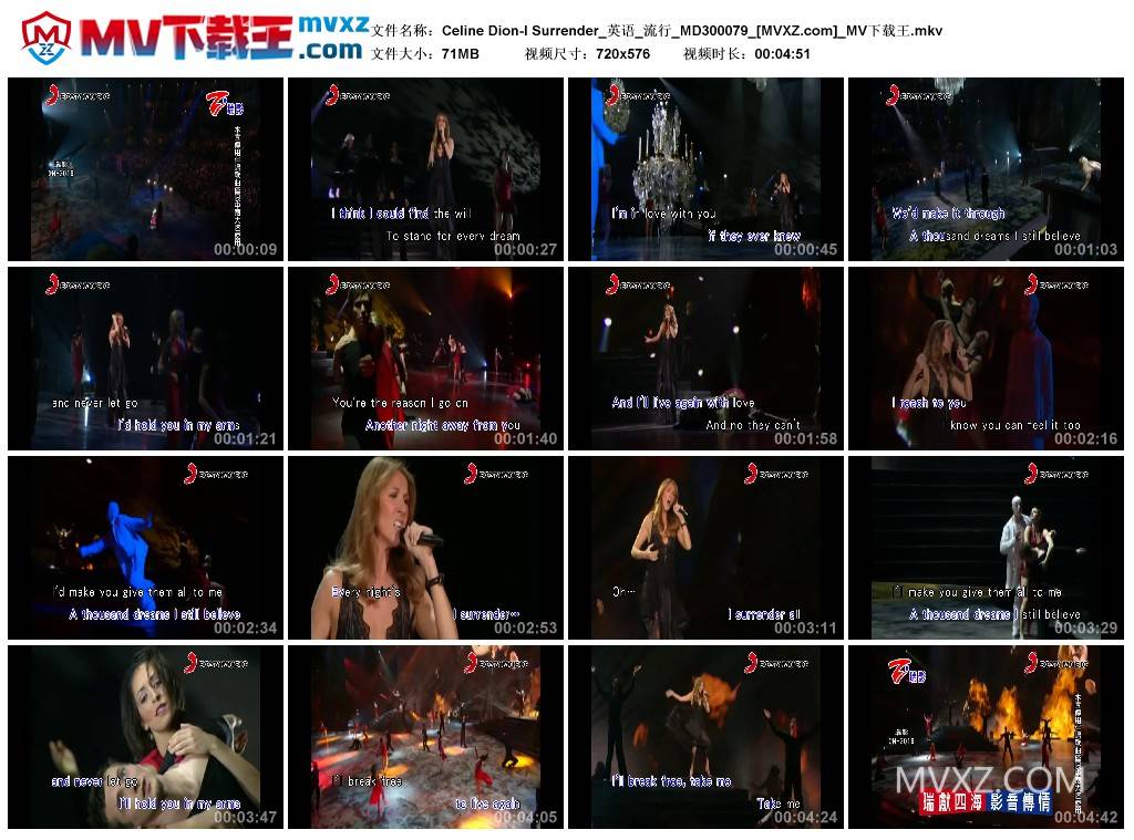 Celine Dion-I Surrender_英语_流行_MD300079
